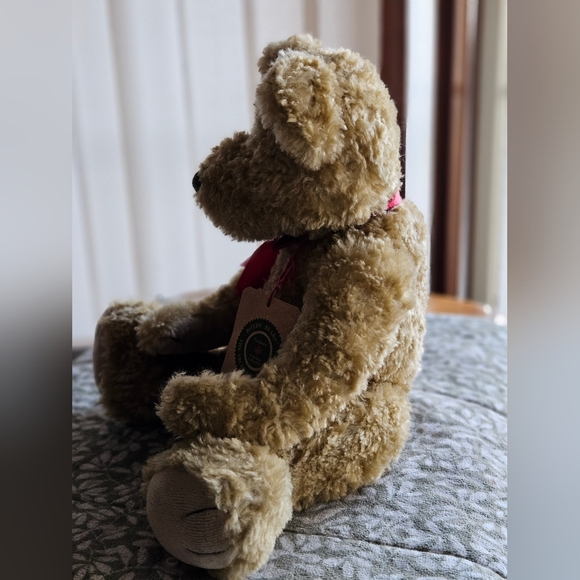 Boyd's Bear - Picture 3 of 11